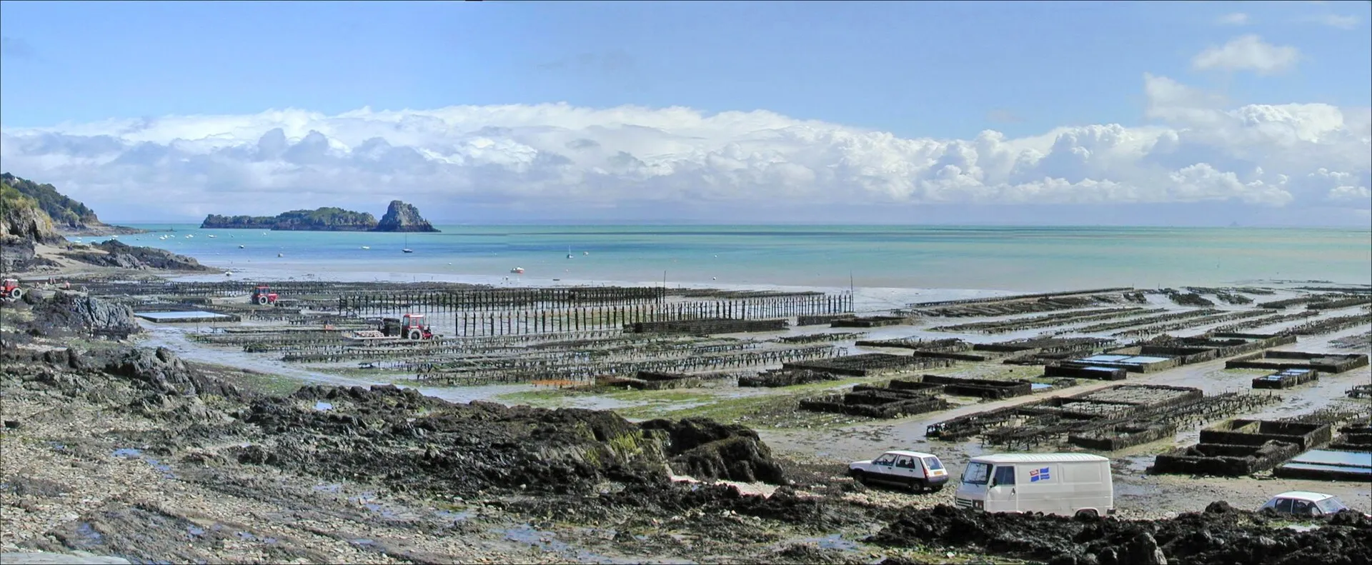 Cancale's oyster beds at low tide with Mont-Saint-Michel on the horizon
