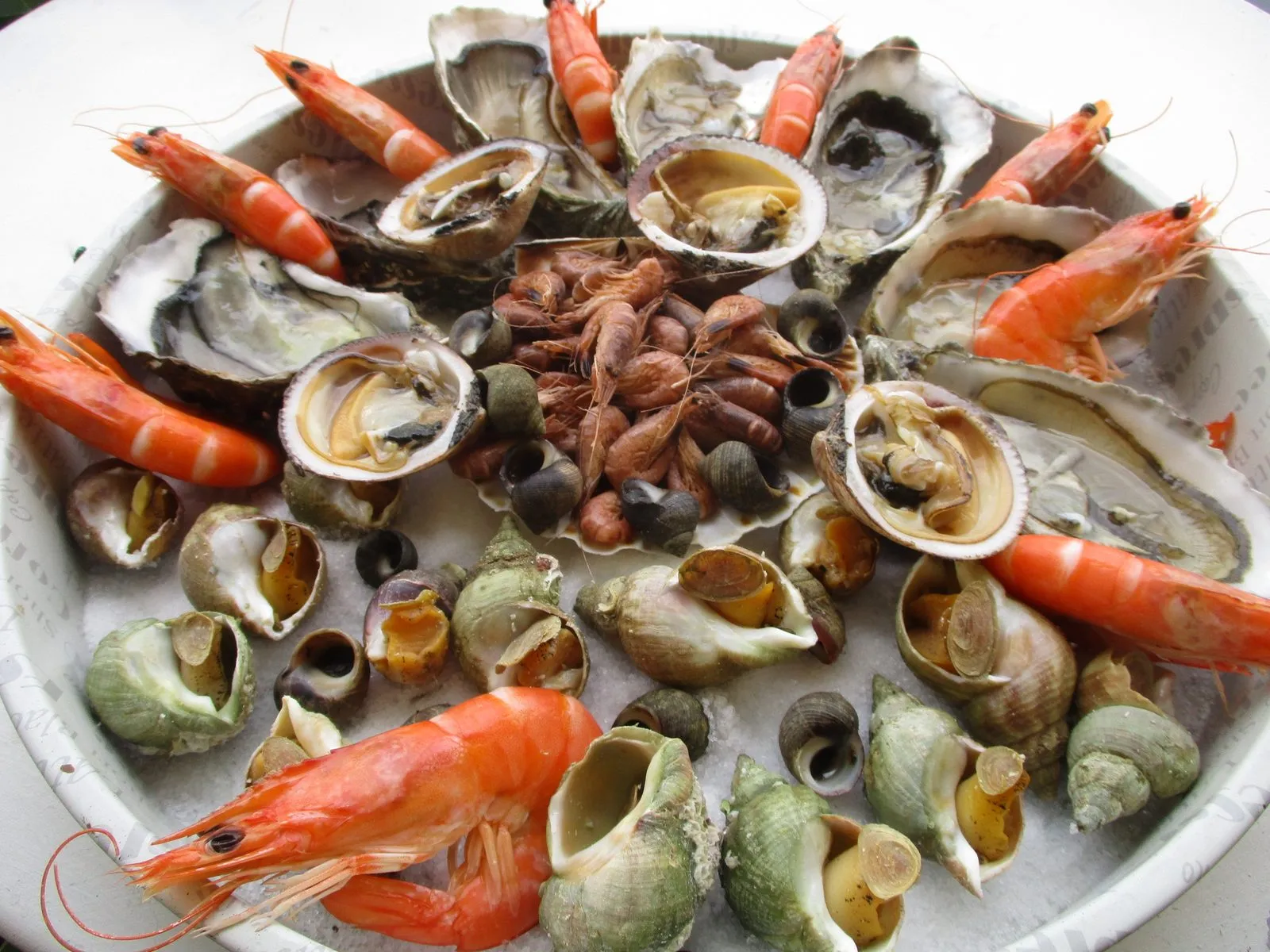 Seafood platter with oysters, prawns, whelks, winkles and clams on a bed of salt
