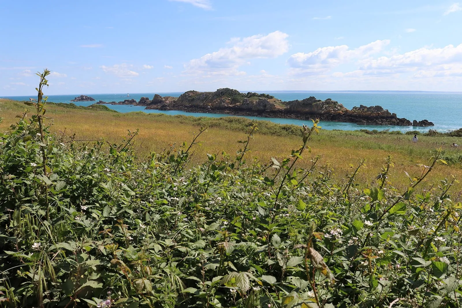 The Pointe du Grouin and its rocky foreshore