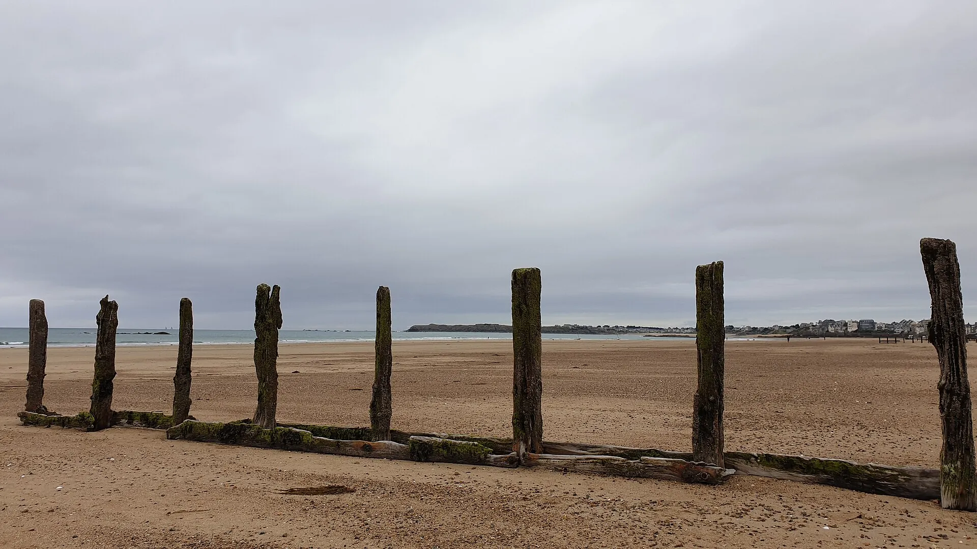 The oak breakwaters of the Sillon beach at low tide